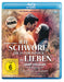 Ich schwöre, dich für immer zu lieben - Sanam Teri Kasam
