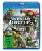 Teenage Mutant Ninja Turtles - Out of the Shadows (+ Blu-ray 2D)