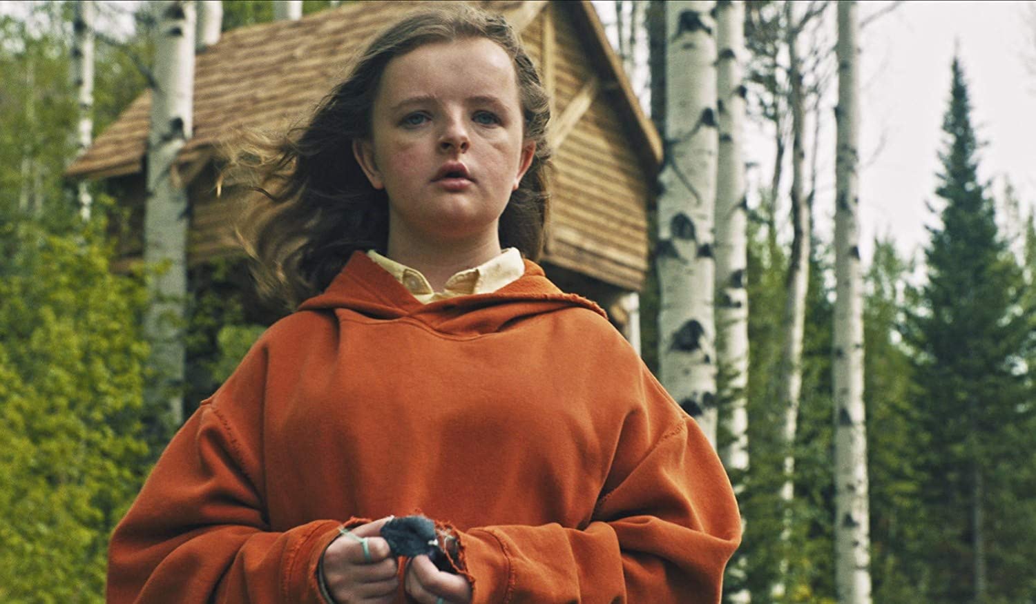 Hereditary - Das Vermächtnis