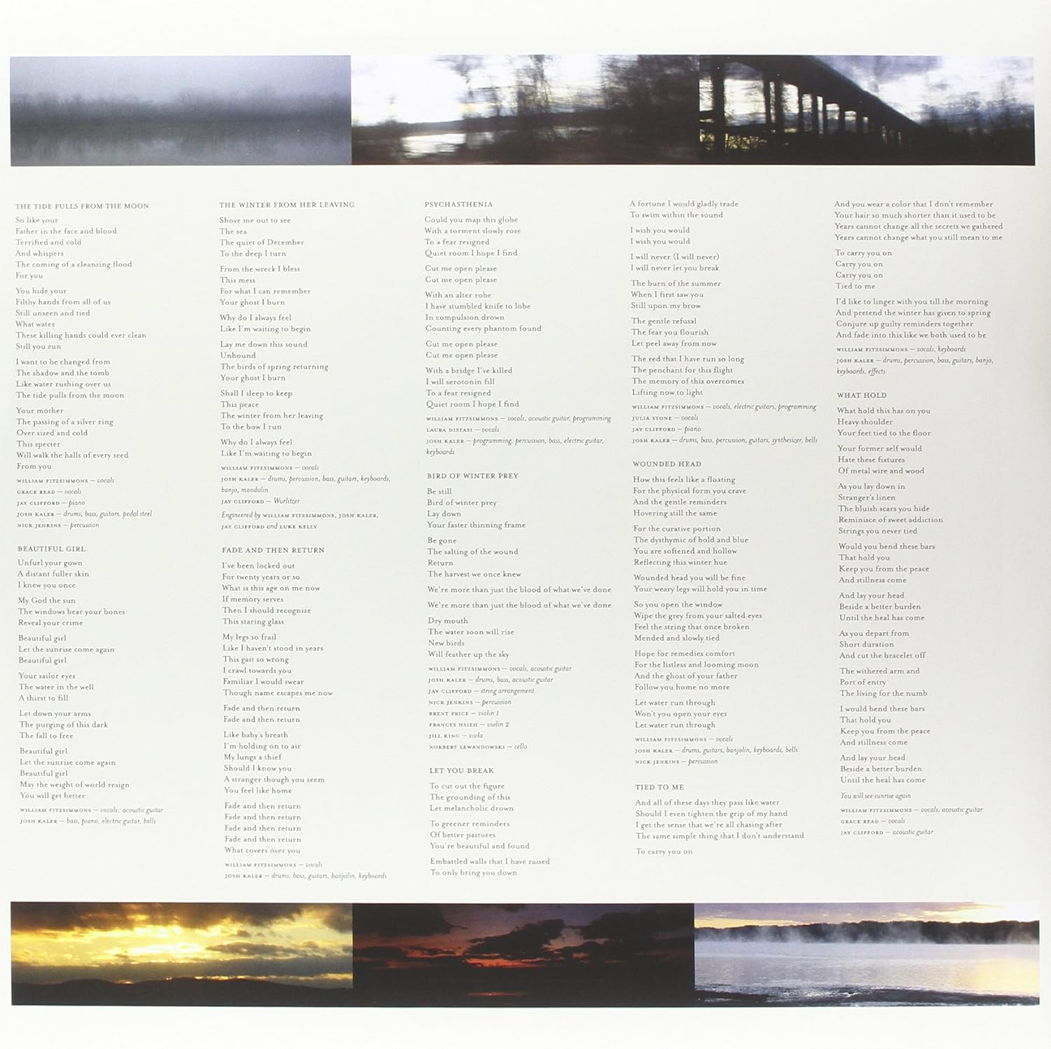 Lp-William Fitzsimmons-Gold In The Shadow