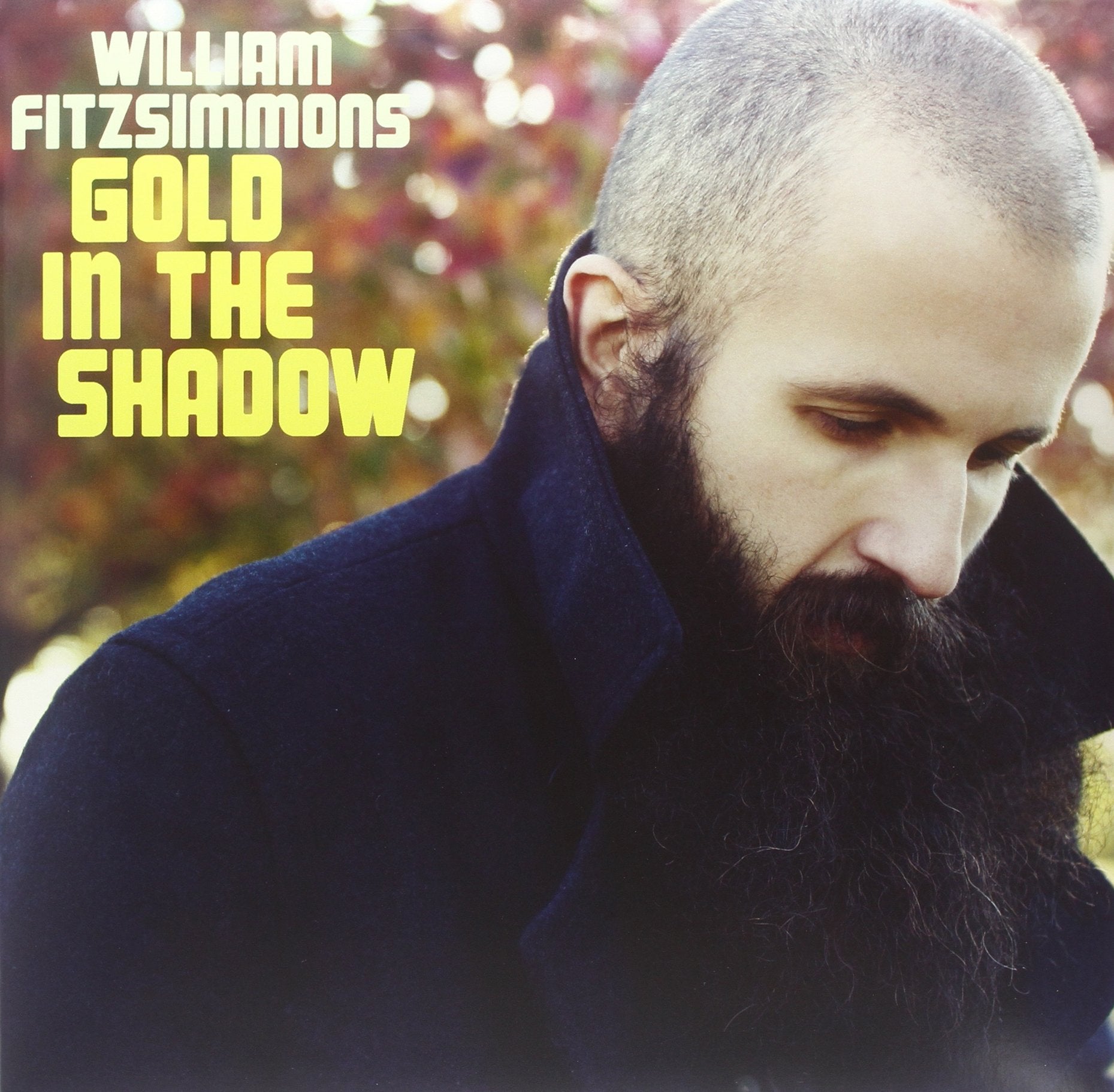 Lp-William Fitzsimmons-Gold In The Shadow