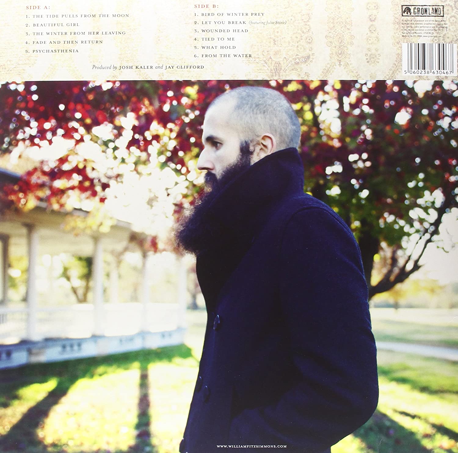 Lp-William Fitzsimmons-Gold In The Shadow