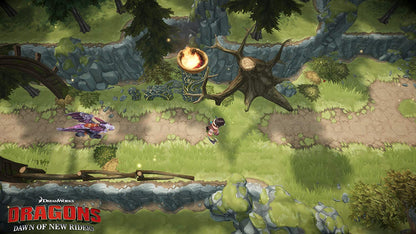Dragons Dawn of New Riders (Nintendo Switch) Nintendo Switch Standard