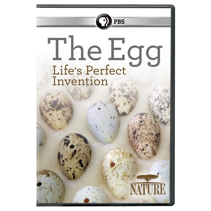 NATURE: The Egg: Life's Perfect Invention DVD