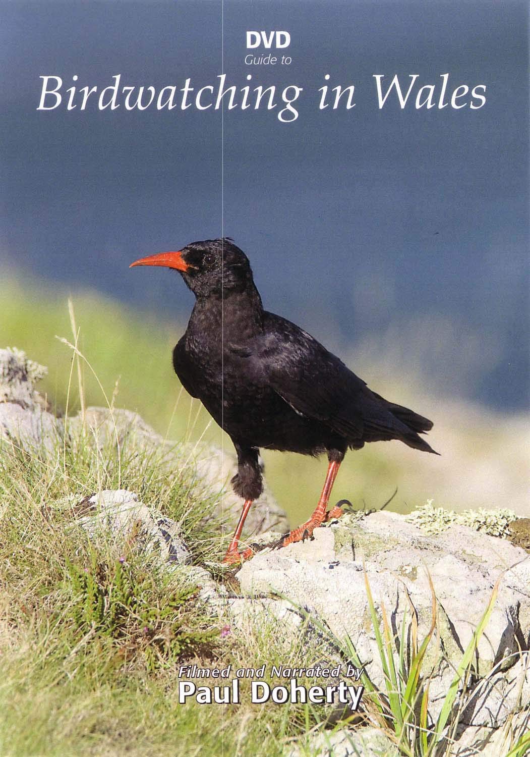 DVD Guide to Birdwatching in Wales