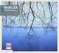 Symphony No. 1 in D Major (Dresdner Phil.)