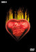 Soul on Fire: In Concert - Ohne Filter