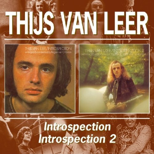 Introspection/introspection 2
