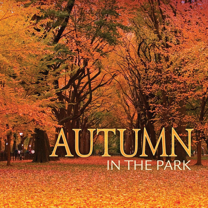 Autumn in the Park / Various