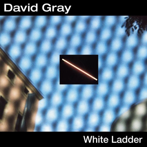 David Gray-White Ladder