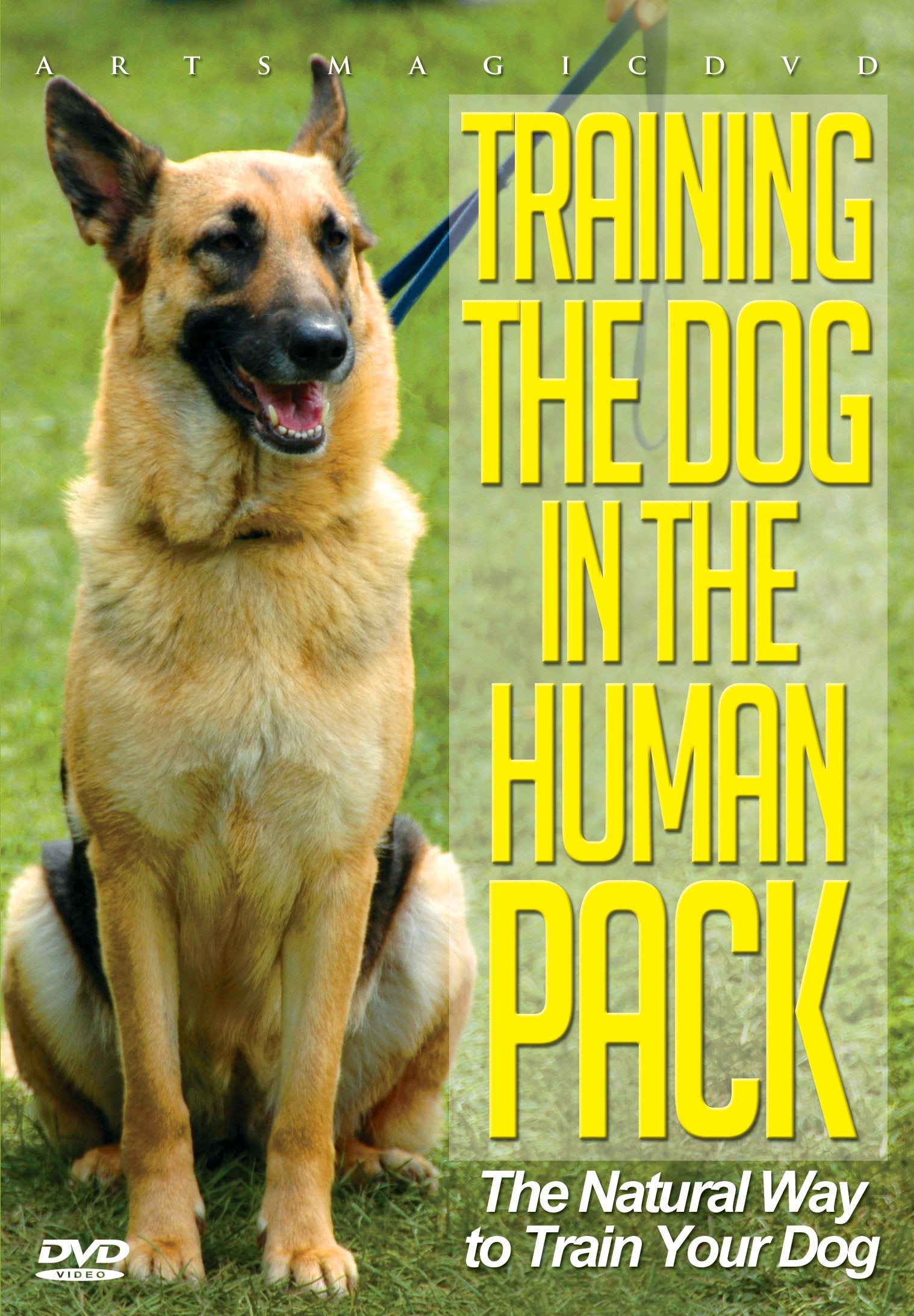 Training the Dog in the Human Pack