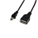 StarTech.com Câble Mini USB 2.0 de 30cm - Cordon USB A vers Mini B - Femelle / Mâle - Noir (USBMUSBFM1