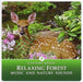 Relaxing Forest