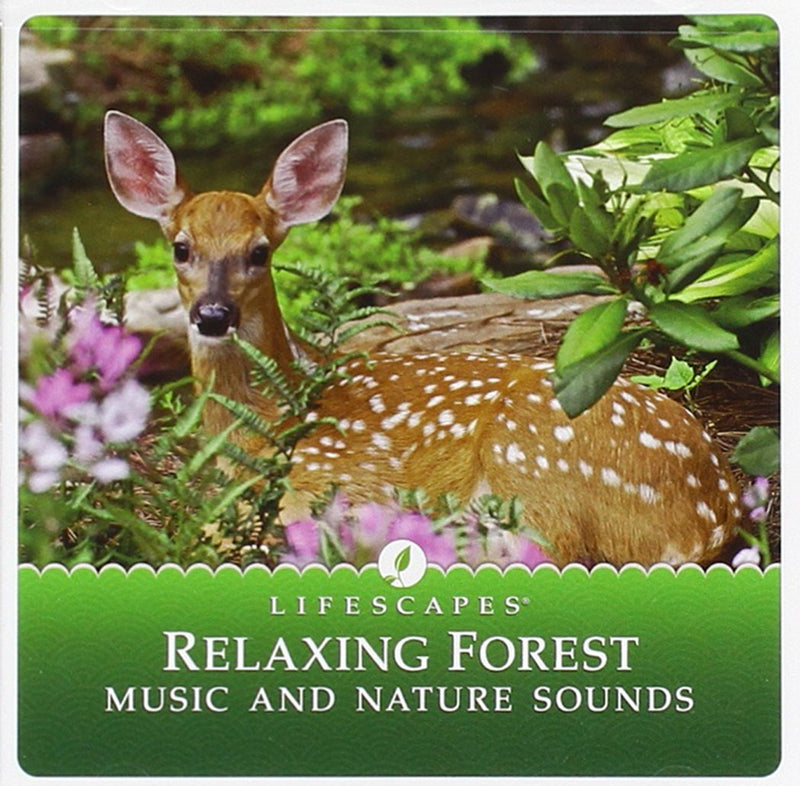 Relaxing Forest