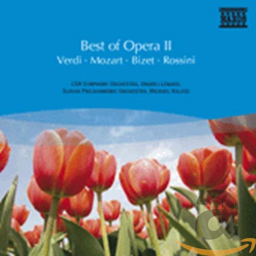 Best Of Opera Ii