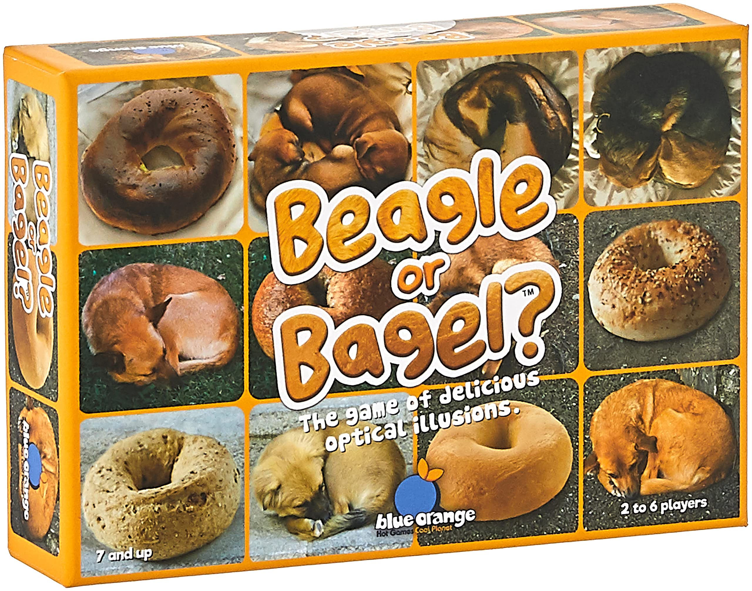 Beagle Or Bagel