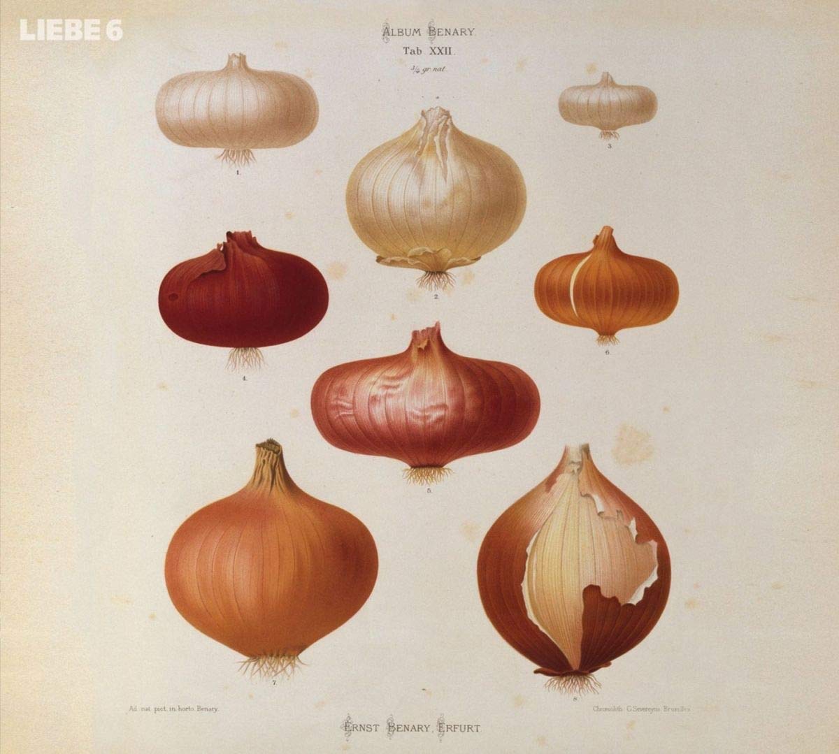RETHER, HAGEN - LIEBE 6