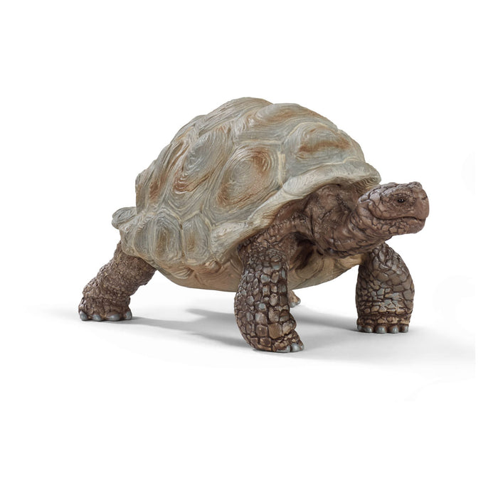 schleich Wild Life 14824 Realistic Exotic Galapagos Giant Tortoise Figurine - Wild Animal Giant Tortoise Toy for Wildlife Play and Imagination - Animal Toys Gift for Boys, Girls, Kids Ages 3+
