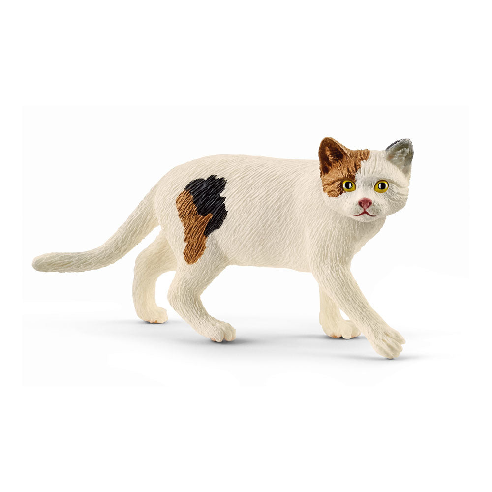 SCHLEICH Gatto Americano a Pelo Corto (5