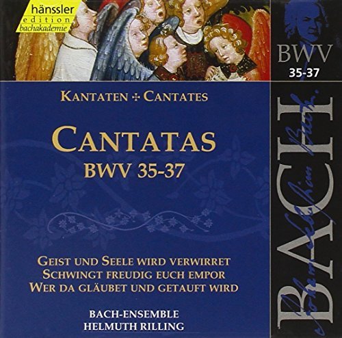 Bach: Cantatas: BWV35 - 37