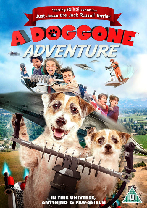 A Doggone Adventure