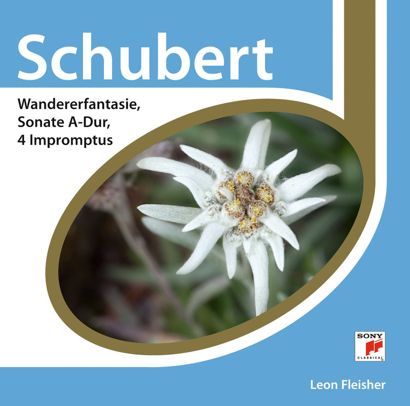 Esprit/Wandererfantasie