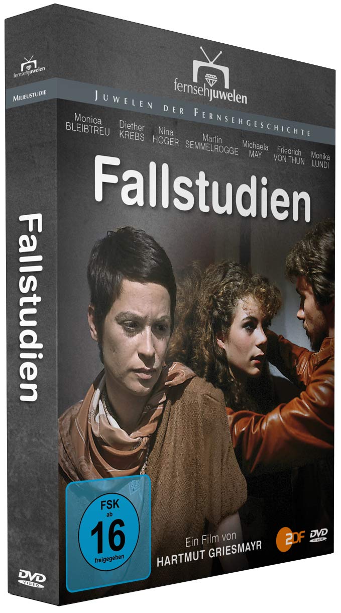 Fallstudien