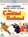 The Constant Husband
