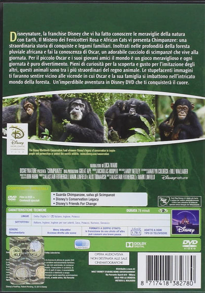 Chimpanzee
