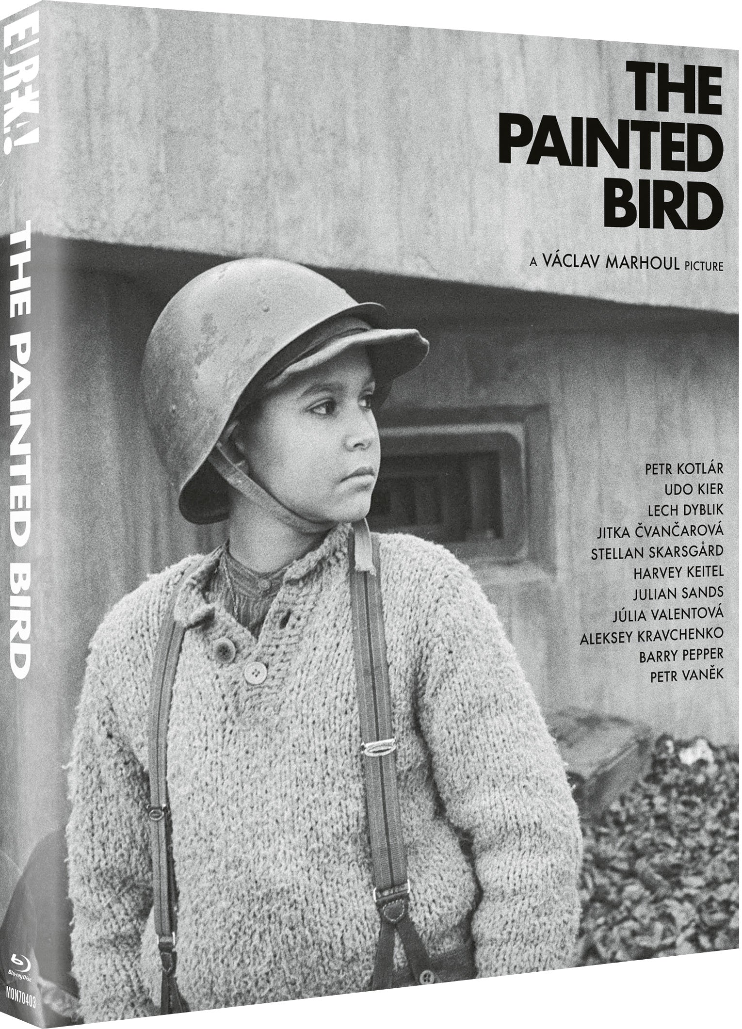 The Painted Bird