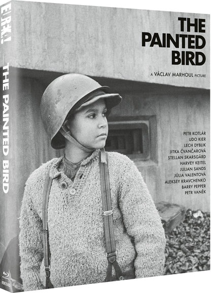 The Painted Bird