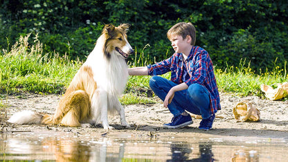 Lassie Come Home