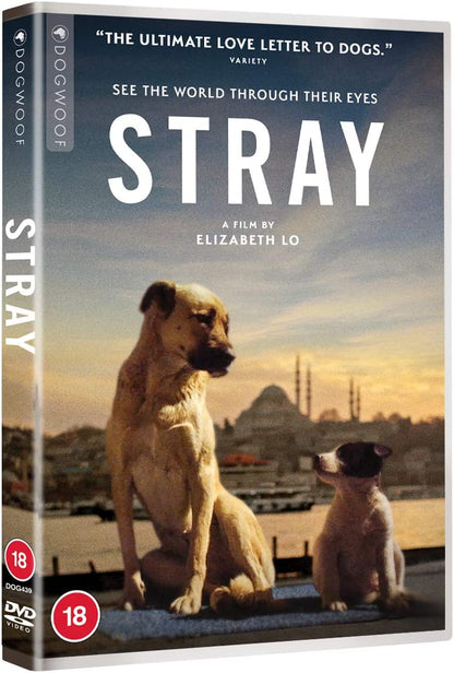 Stray