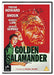 Golden Salamander