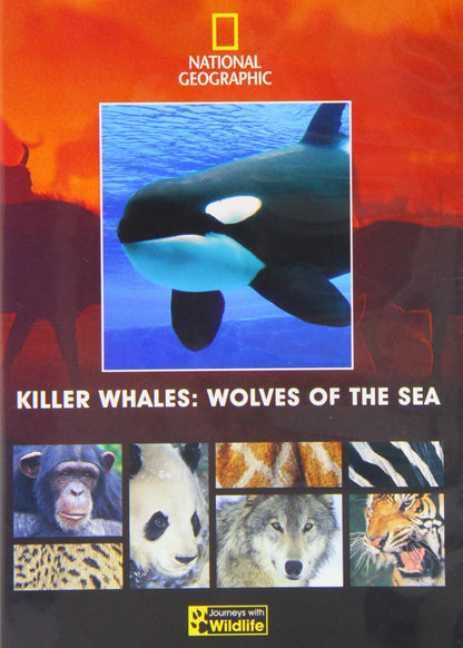 Killer Whales: Wolves Of The Sea (Journeys with Wildlife - 2) (Region 2)