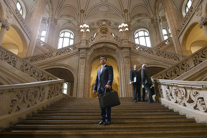THE COLLINI CASE
