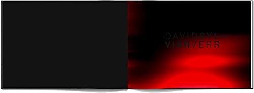 David Sylvian-Err (A Photographic Essay