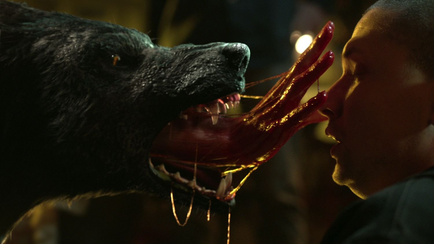 Hemlock Grove - Das Biest im Biest - Die komplette Staffel 2 [3 DVDs]