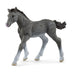 SCHLEICH Horse Club Trakehner Foal Toy Figure, Grey (13944)