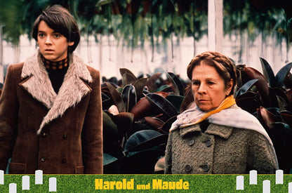 Harold und Maude (Blu-ray