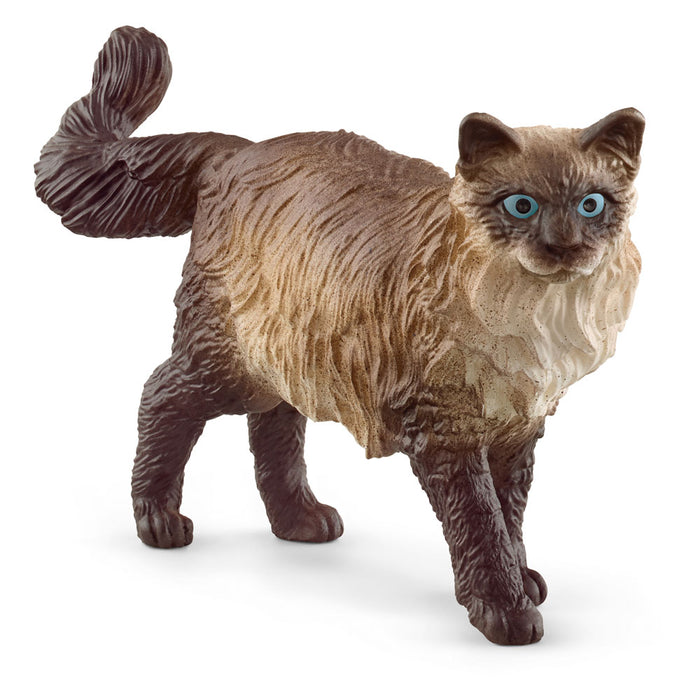 SCHLEICH Farm World Ragdoll Cat Toy Figure, Multi-colour (13940)