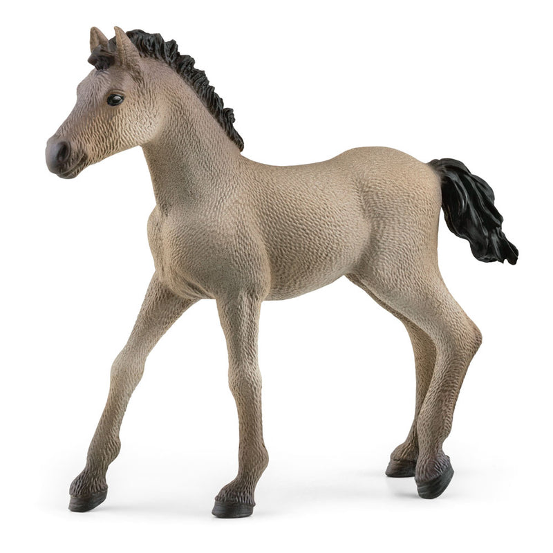 SCHLEICH CRIOLLO DEFINITIVO FOAL (5
