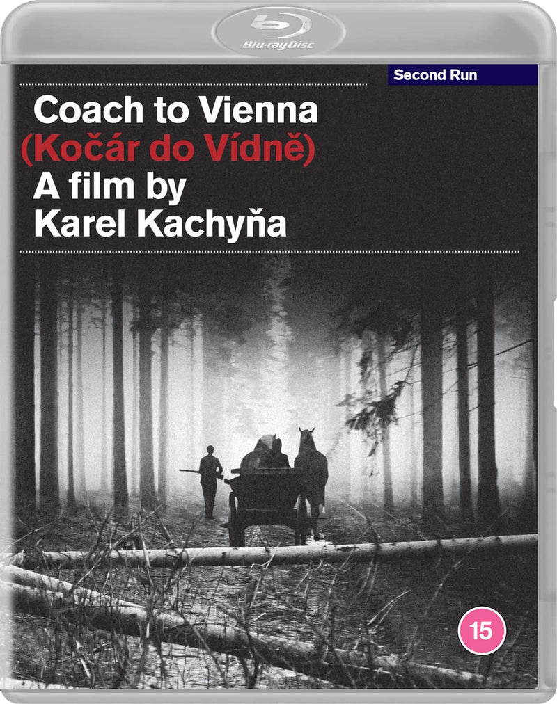 Coach to Vienna
