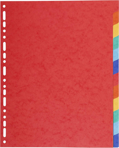 Exacompta Forever Recycled Dividers, A4 Extra Wide, 220gsm, 12 Part - Multi-Colour with Exacompta PP Envelope Punched Pocket, A4, Hook & Loop - Assorted Colours, Bag of 5