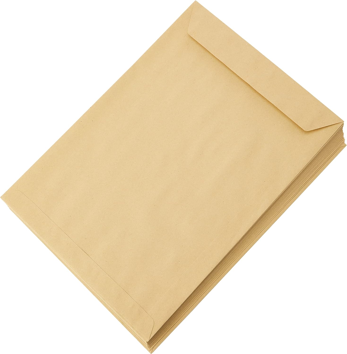 Blake Purely Everyday C4 324 x 229 mm 90 gsm Gummed Pocket Envelopes (13854/25 PR) Manilla