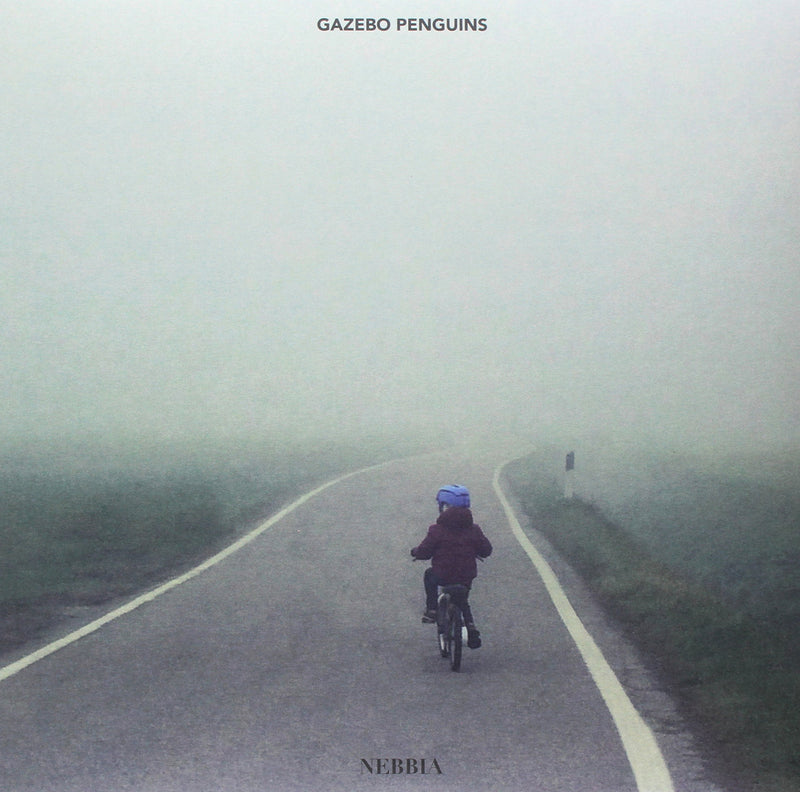 Nebbia