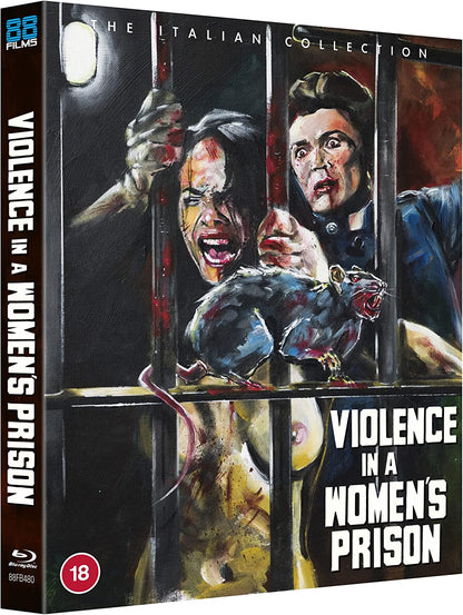 Violence in a Women's Prison