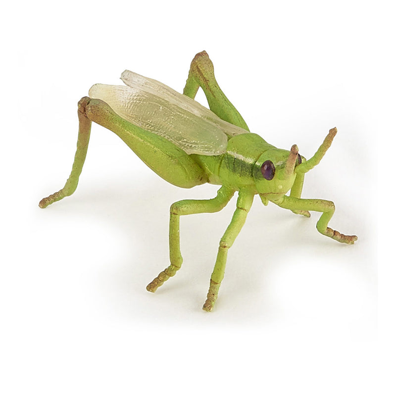 PAPO Wild Animal Kingdom Grasshopper Toy Figure, Green (50268)