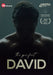 The Perfect David