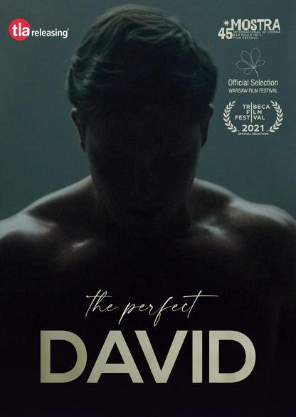 The Perfect David